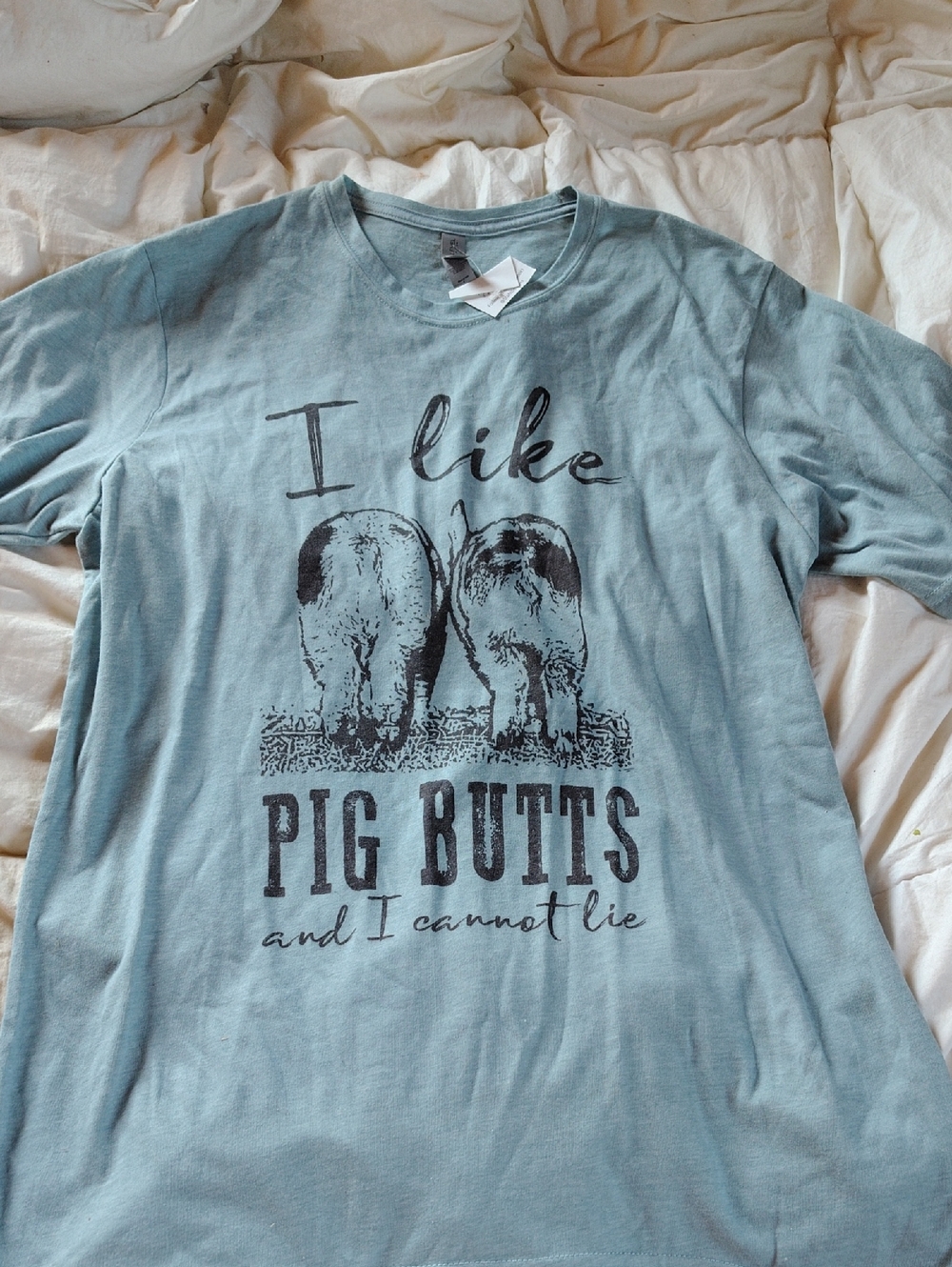Next Level Apparel Light Blue 'I Like Pig Butts' Graphic Tee